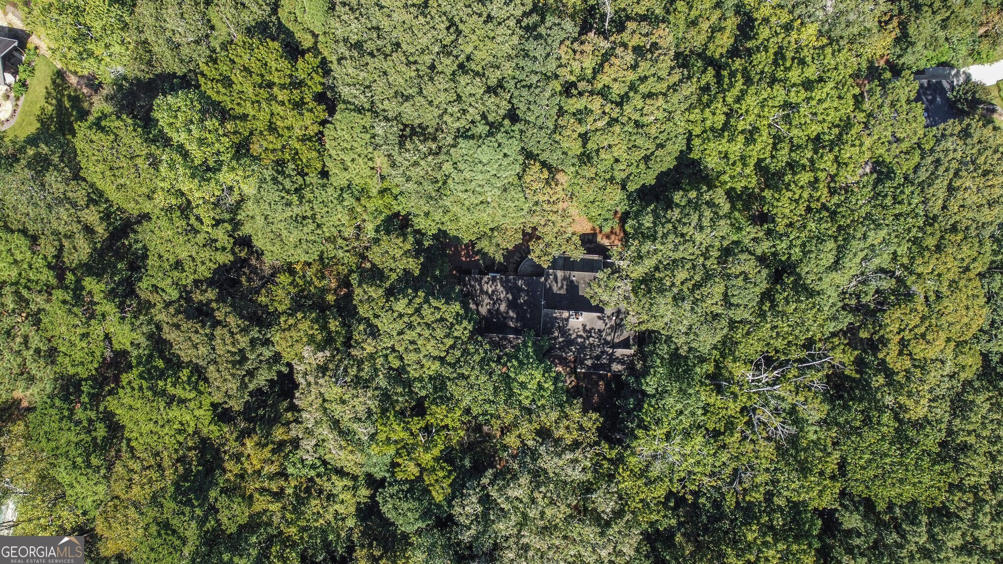 1708 Mason Mill Road NE