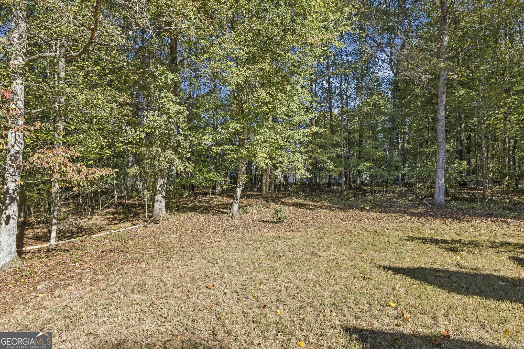 119 Summer Leigh Drive, Stockbridge