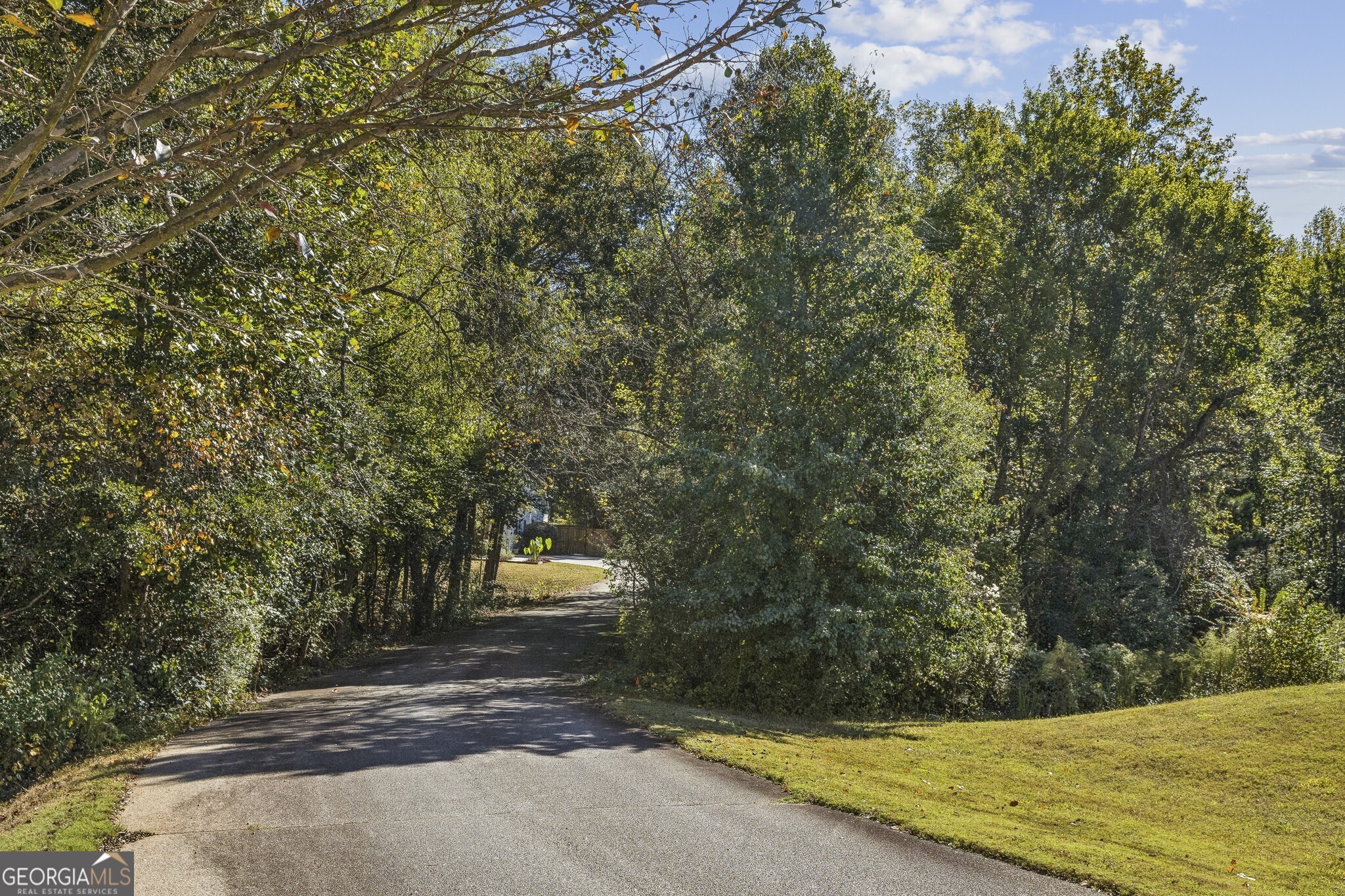 119 Summer Leigh Drive, Stockbridge