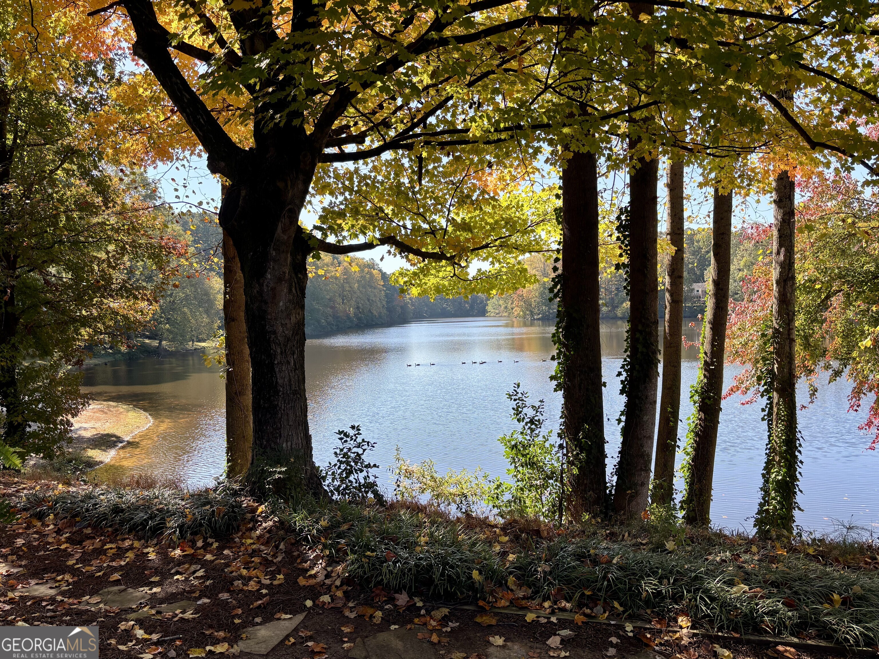 2501 Northlake Court NE