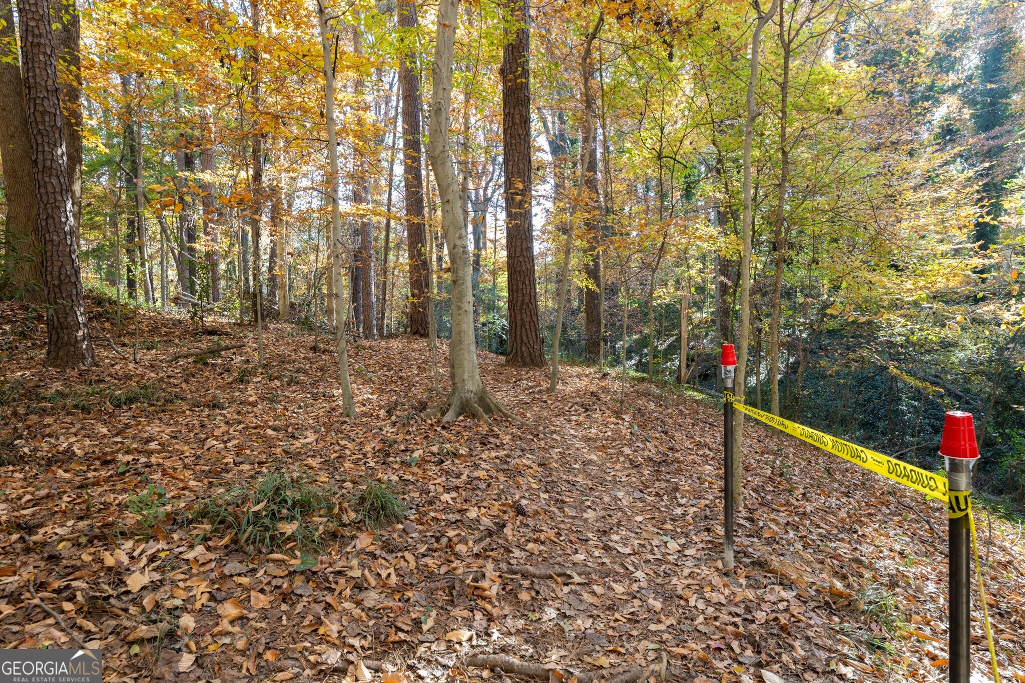 2924 Lavista Road