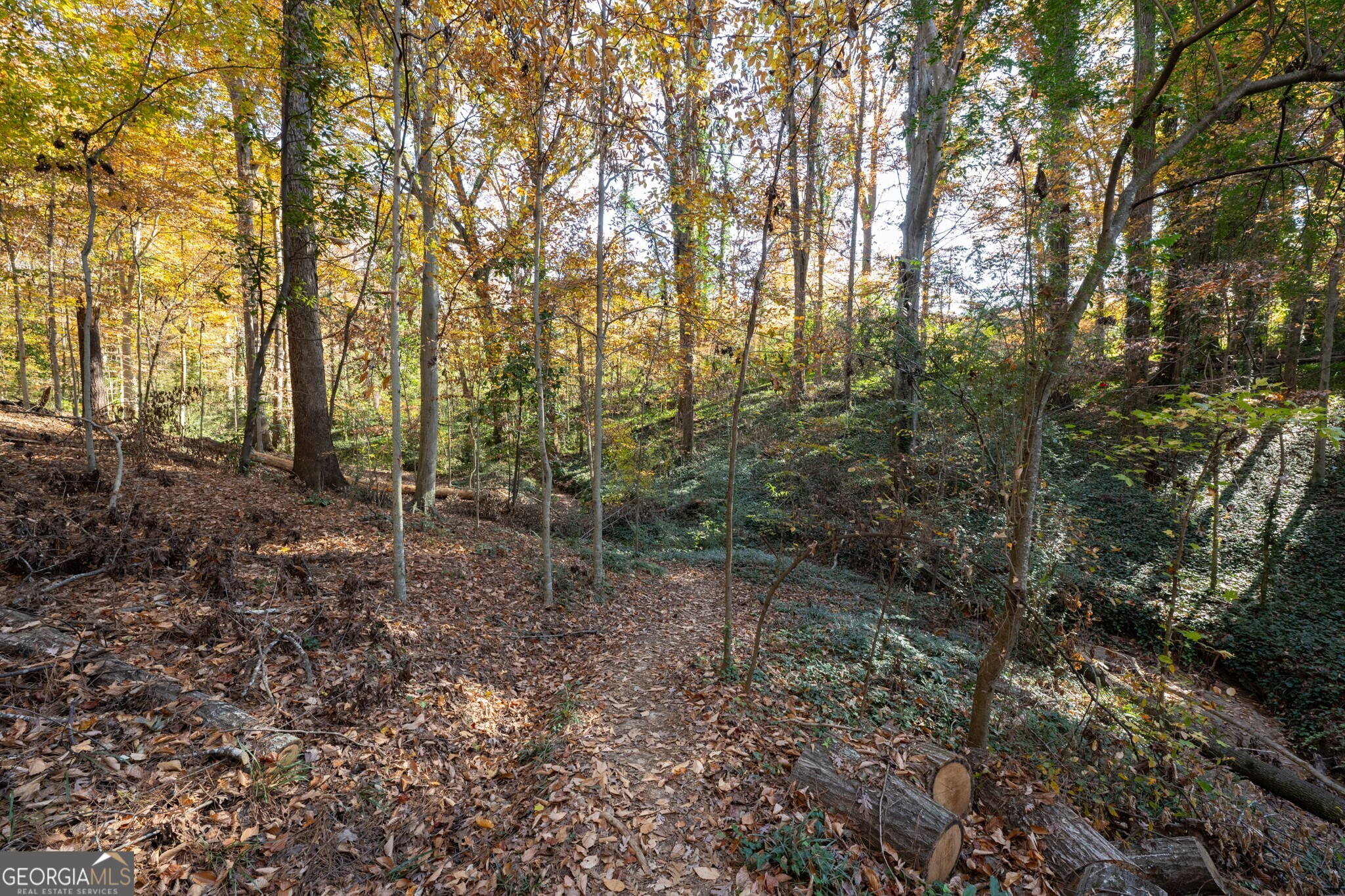 2924 Lavista Road