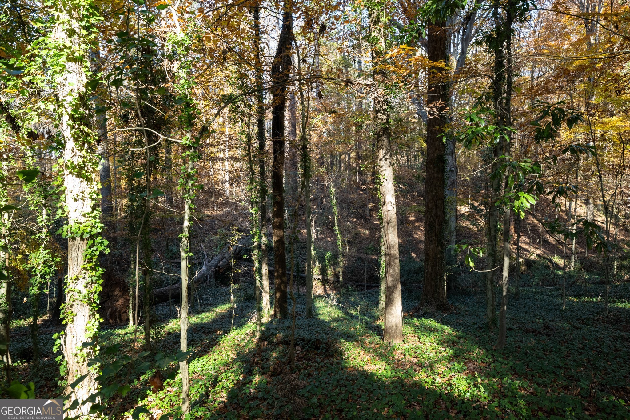 2924 Lavista Road