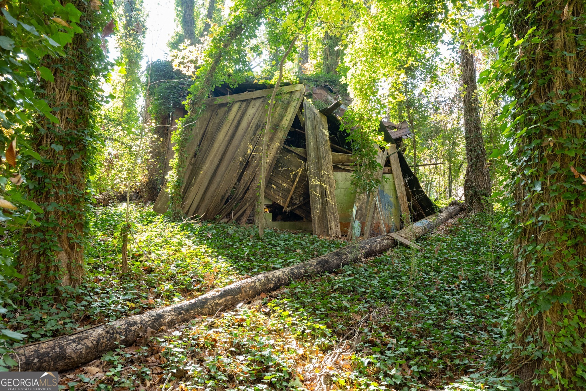2924 Lavista Road