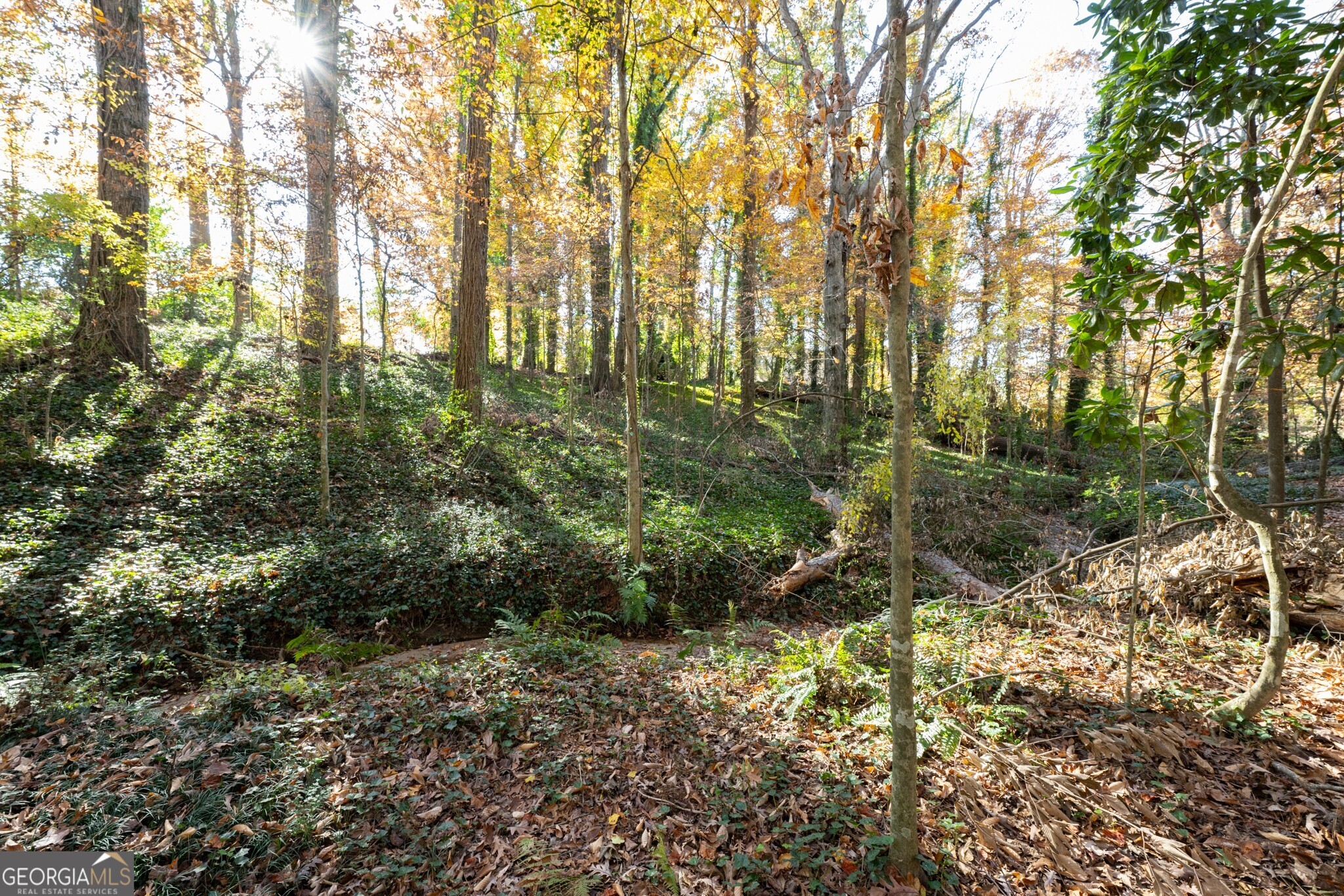 2924 Lavista Road