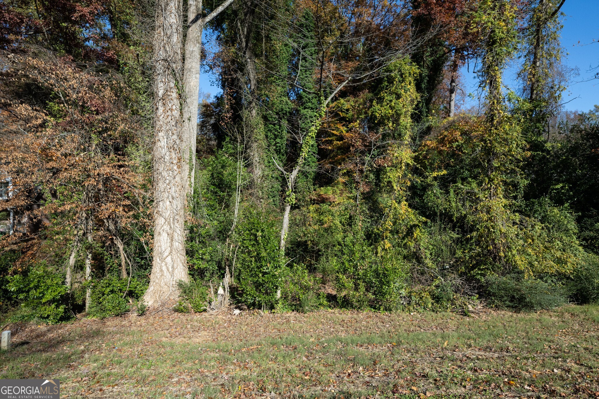 2924 Lavista Road