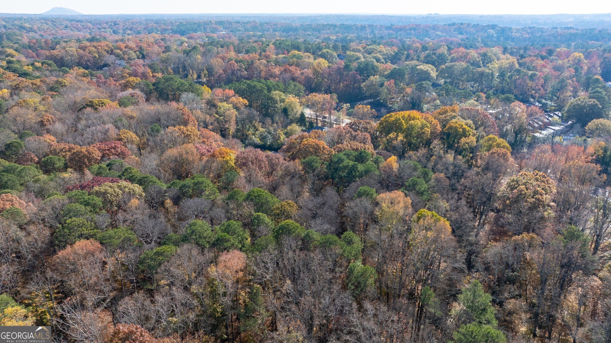 2924 Lavista Road