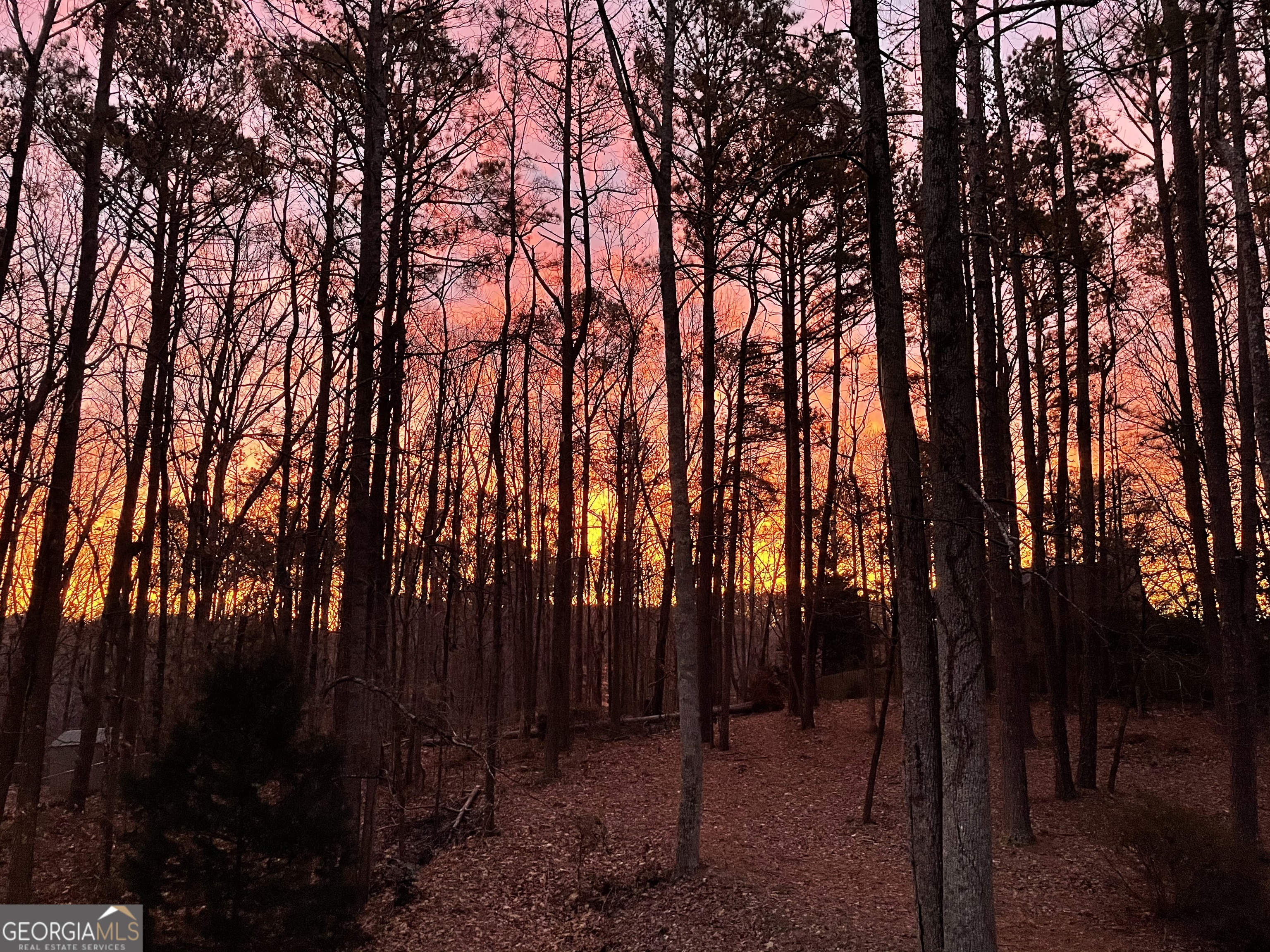 600 Hickory Creek Lane