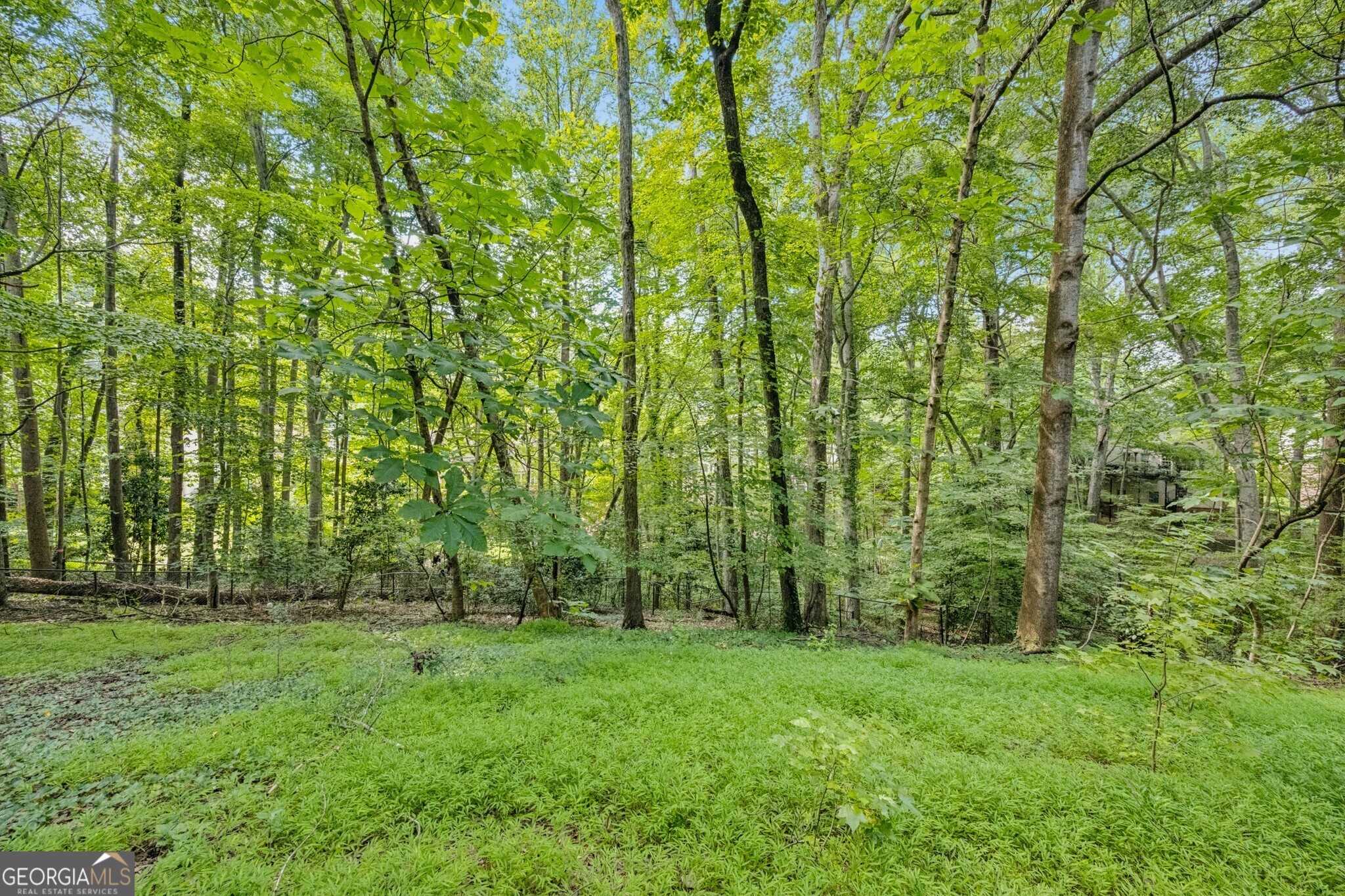 1153 Byrnwyck Court NE