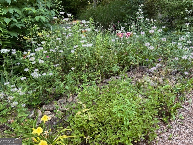 543 Martins Grove Road