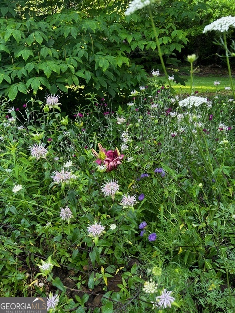 543 Martins Grove Road