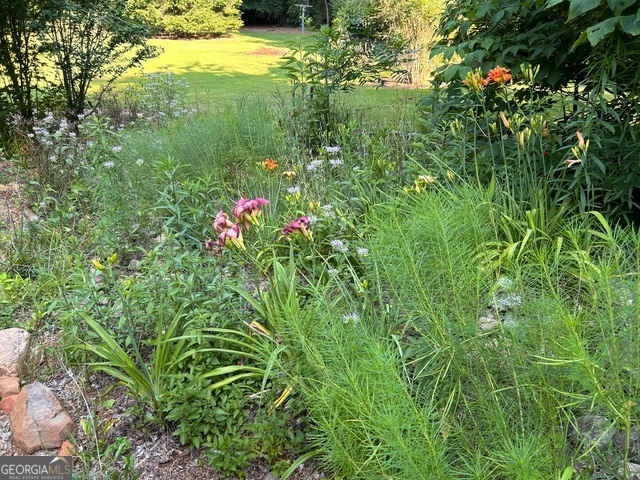 543 Martins Grove Road