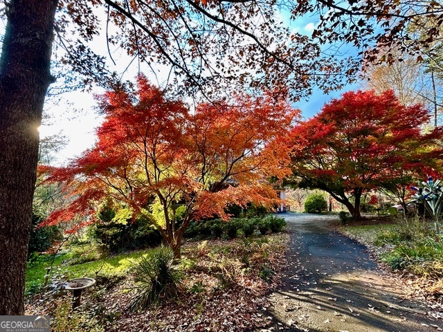 543 Martins Grove Road