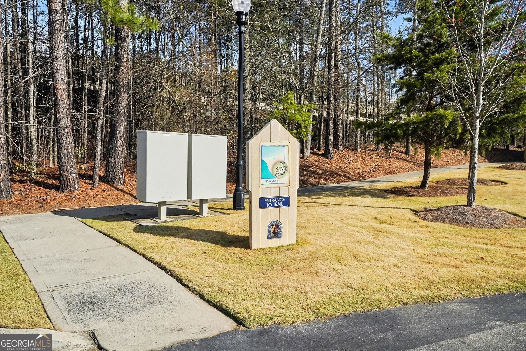 4538 Flowering Branch