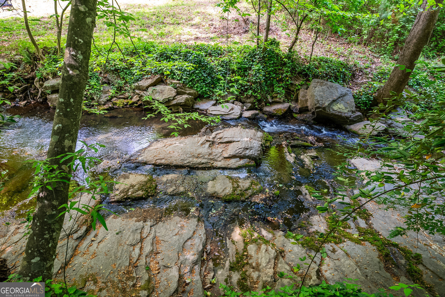 1569 Bubbling Creek Road NE