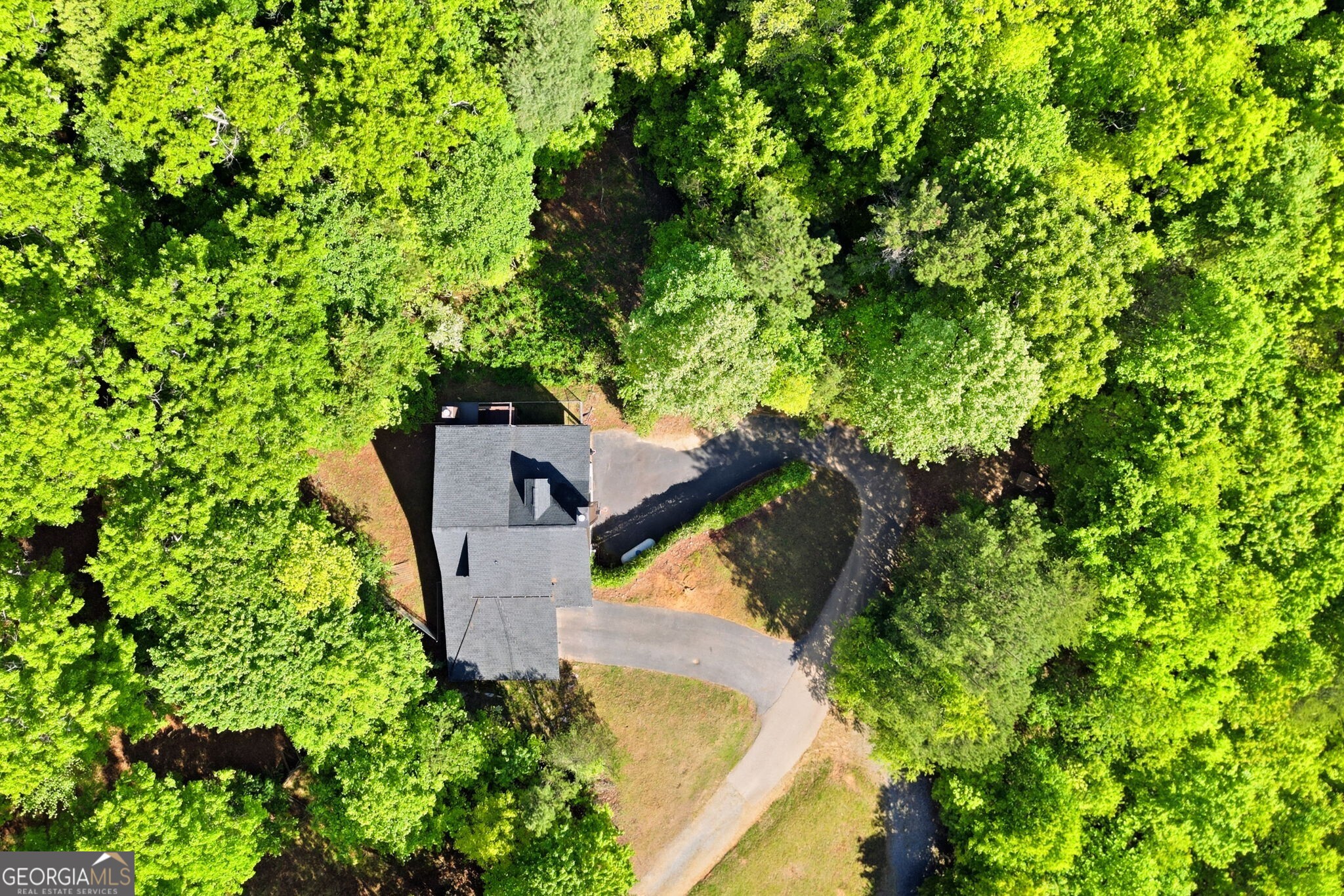 303 Pine Forest Loop