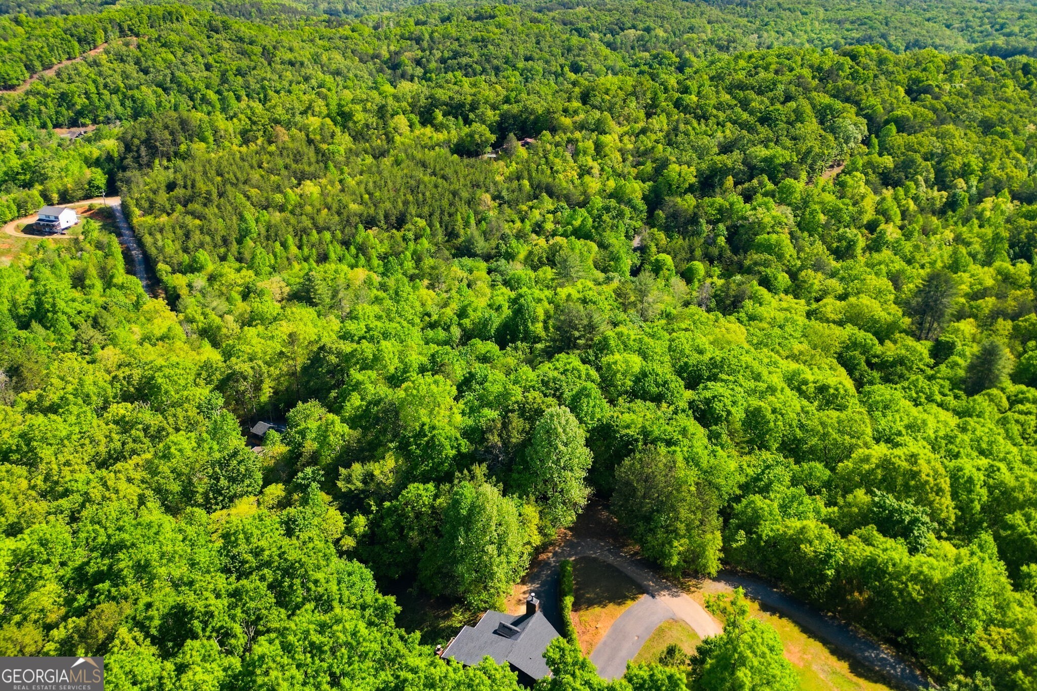 303 Pine Forest Loop