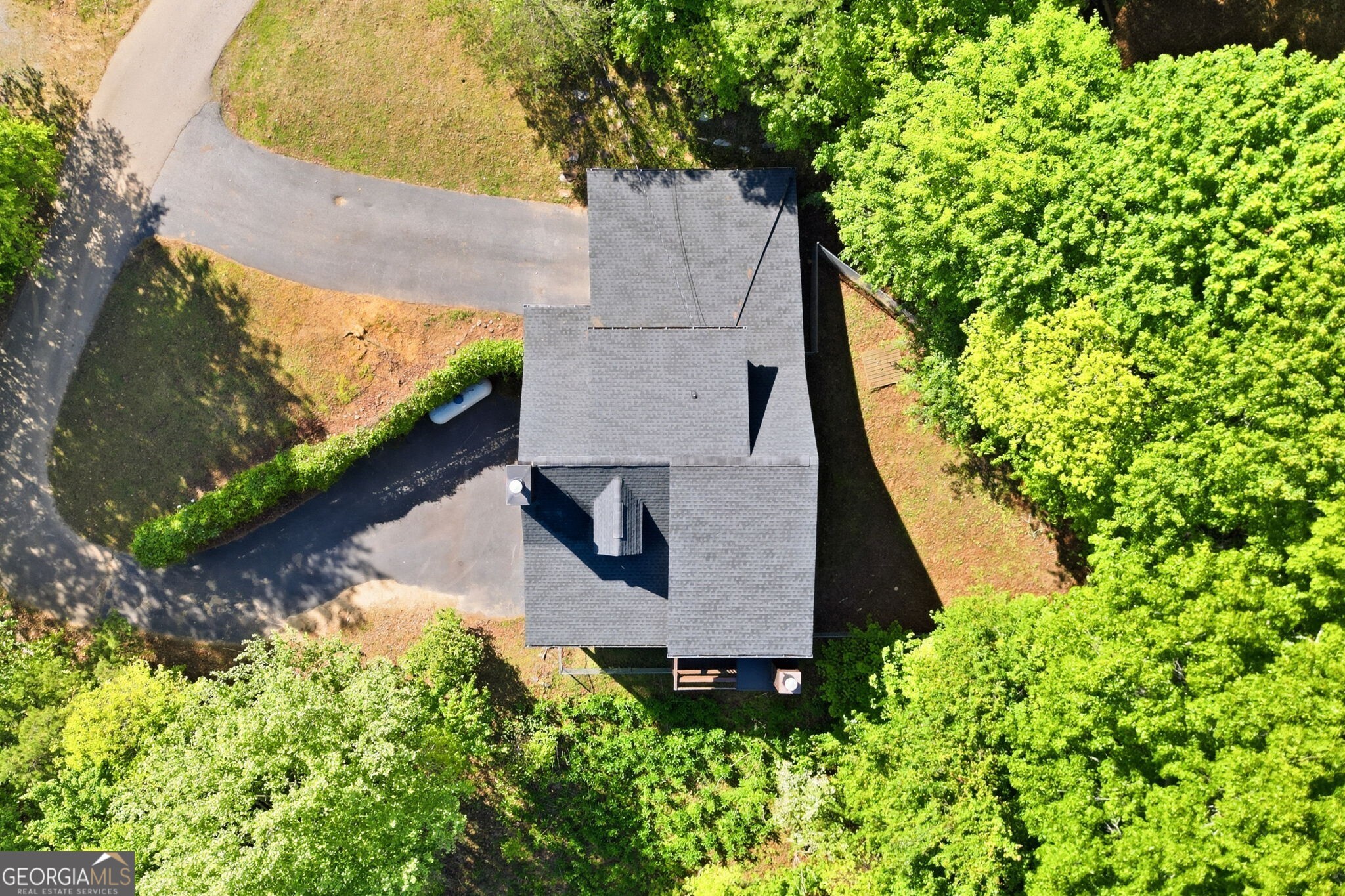 303 Pine Forest Loop