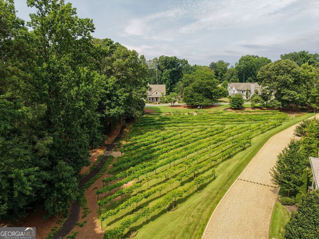 5690 Vineyard Park Trail