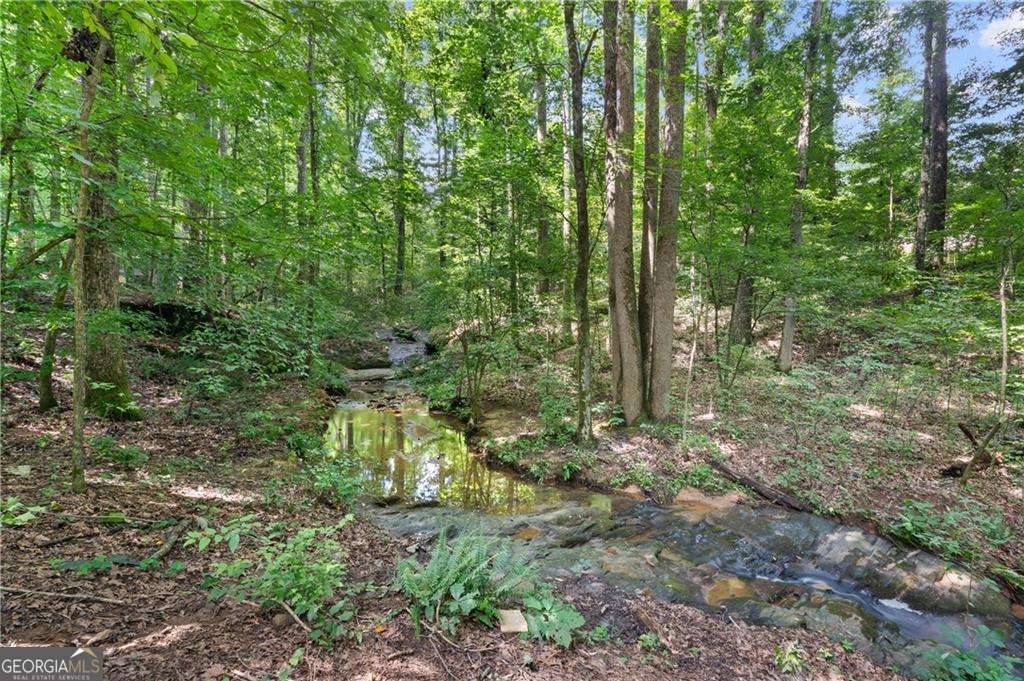 1175 Mars Hill Road NW