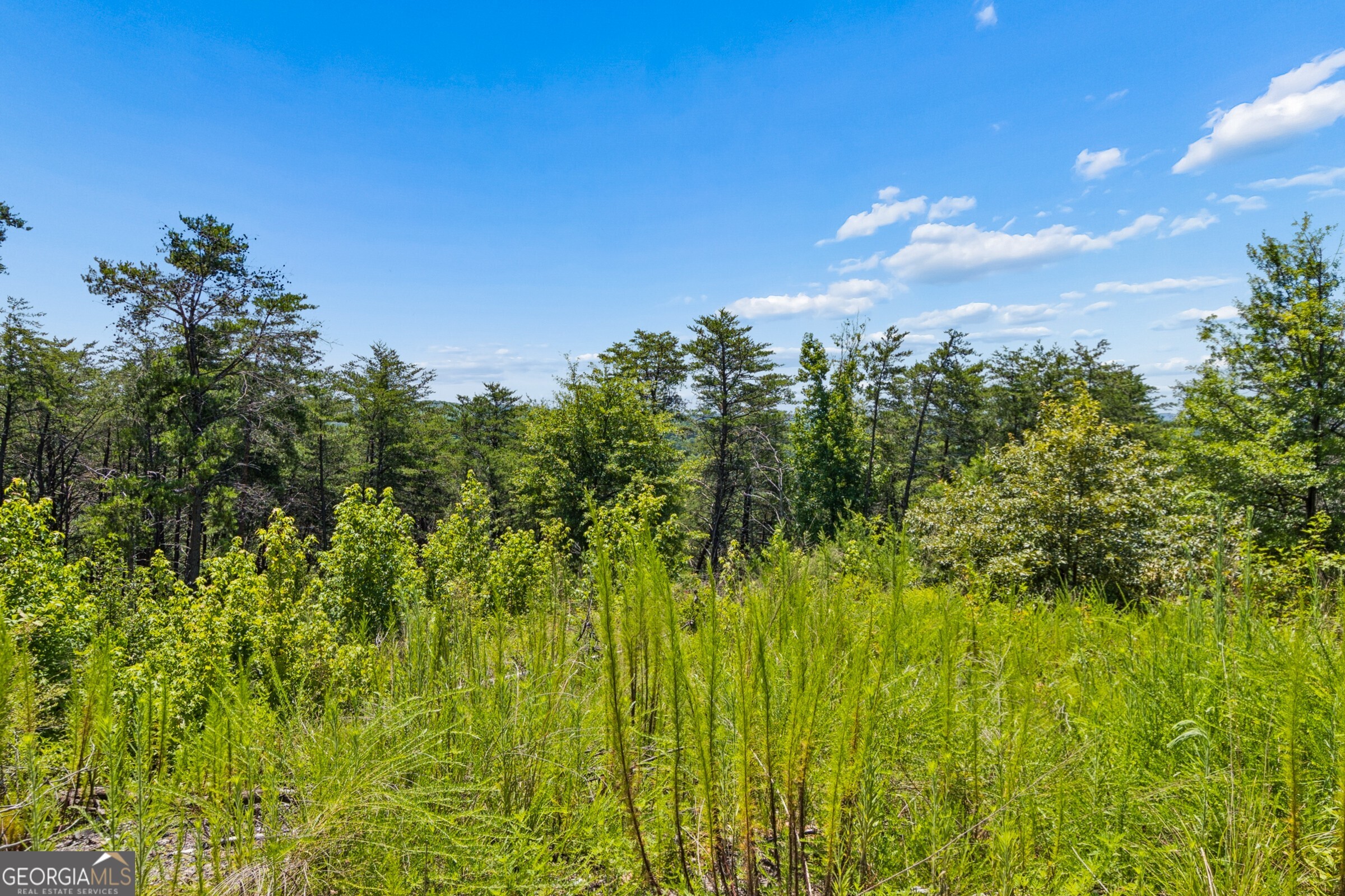 2709 Jamerson Road