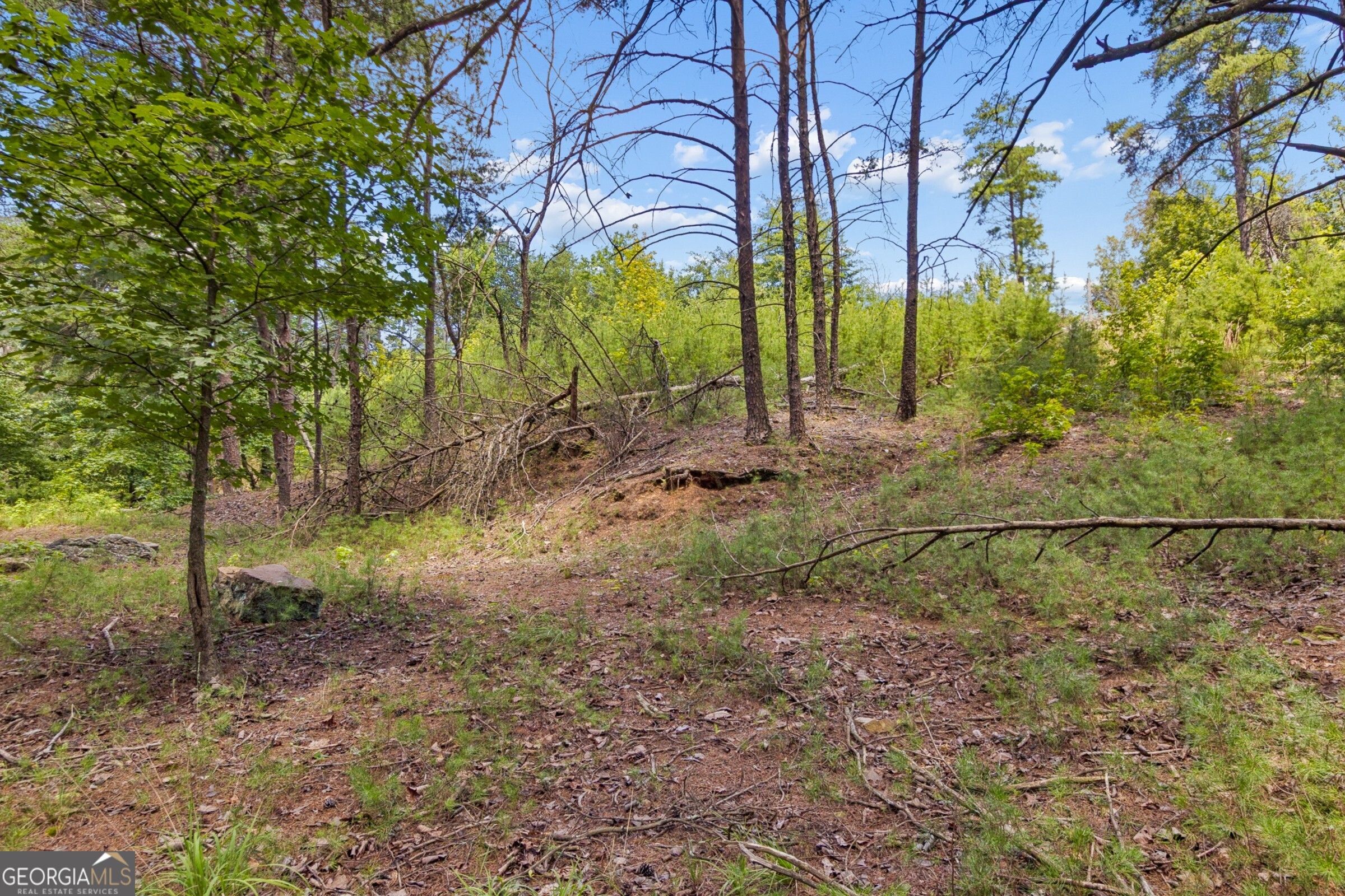 2709 Jamerson Road