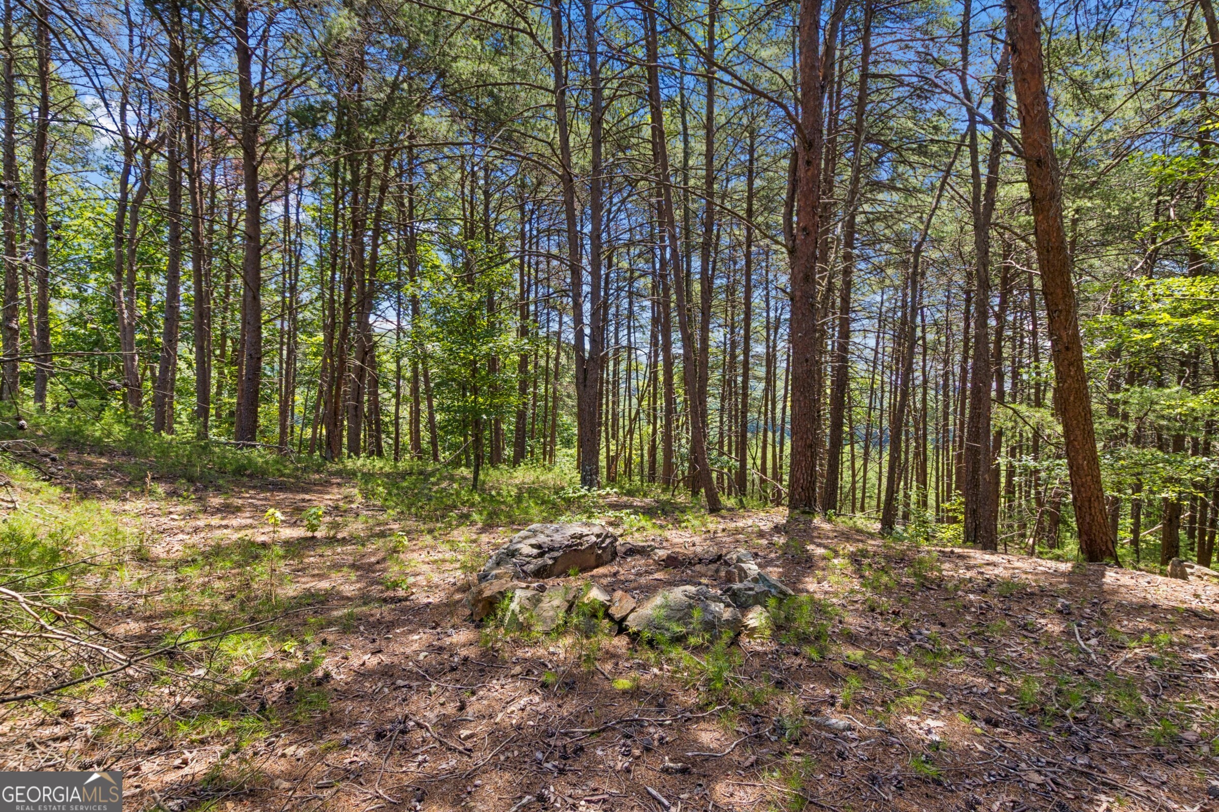 2709 Jamerson Road