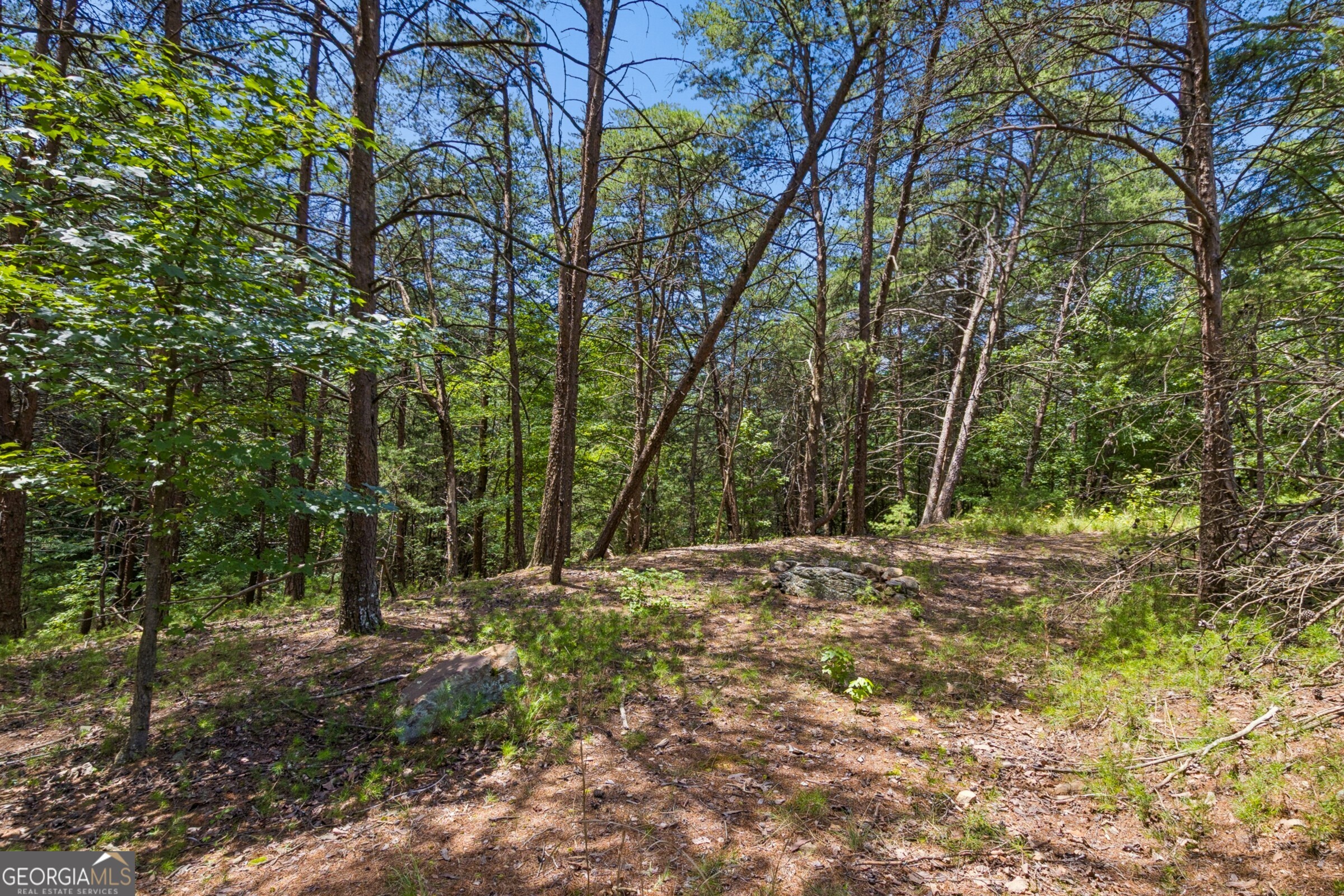 2709 Jamerson Road
