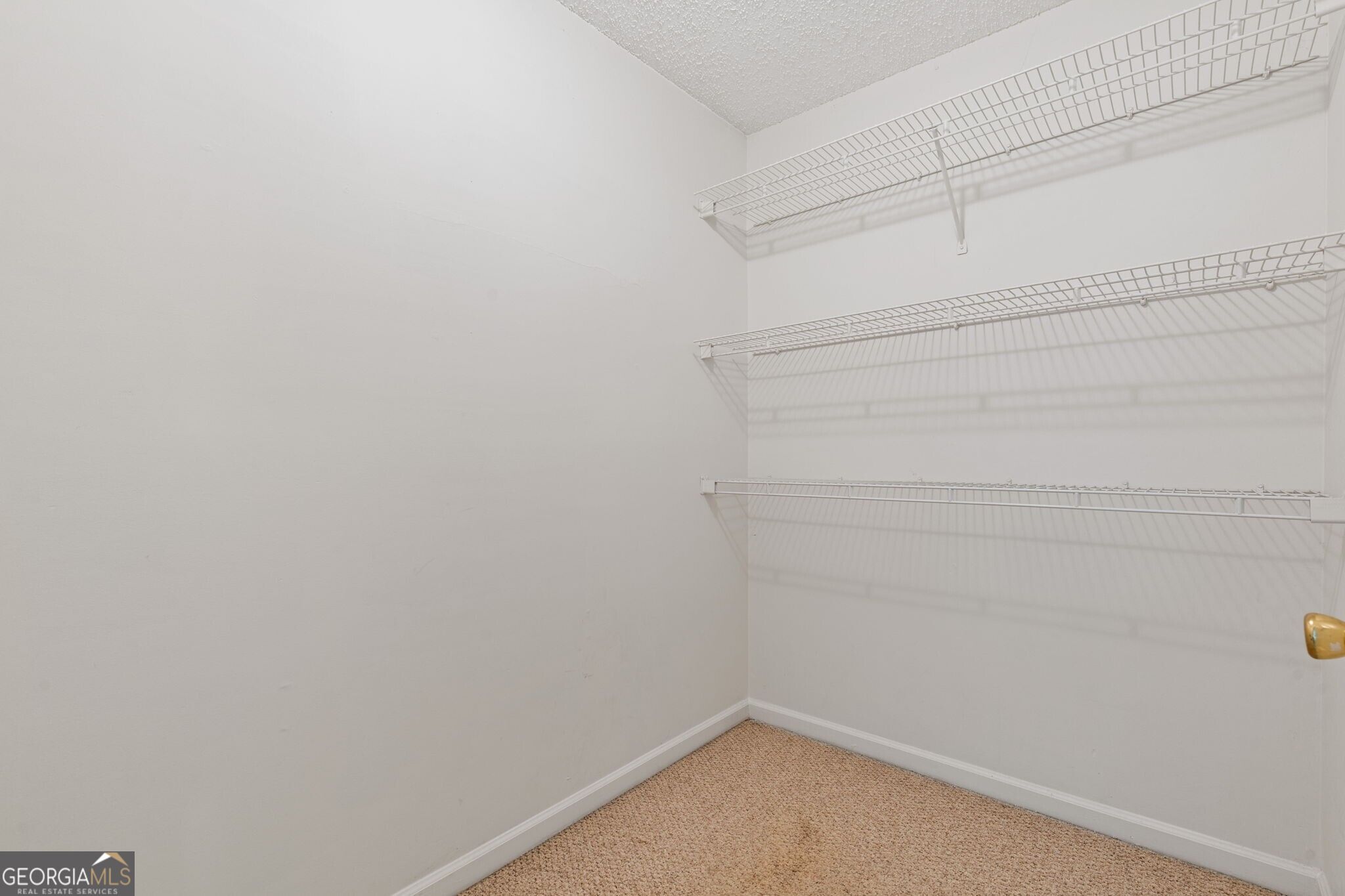 81 Shefield Place