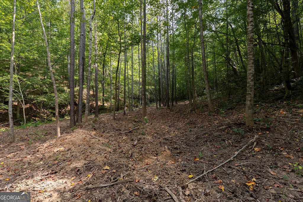 3280 Old Burnt Mountain Road # 3 Unit: TRACT #3