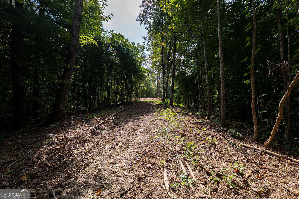 3280 Old Burnt Mountain Road # 3 Unit: TRACT #3
