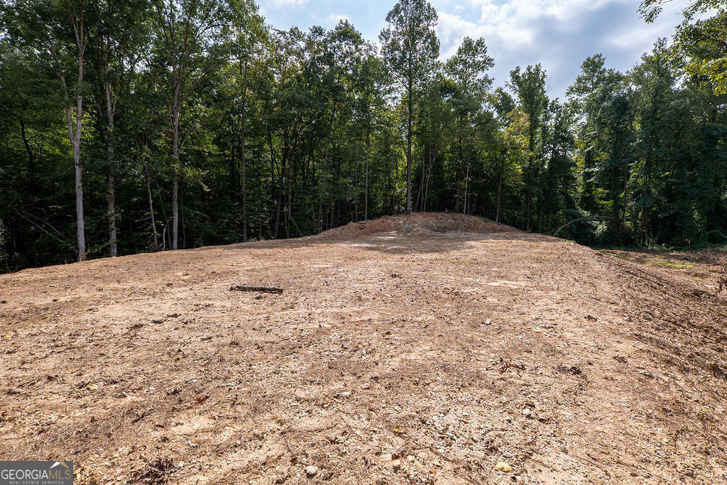 3280 Old Burnt Mountain Road # 3 Unit: TRACT #3