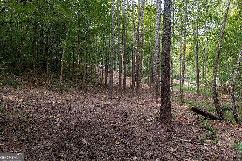 3280 Old Burnt Mountain Road # 3 Unit: TRACT #3