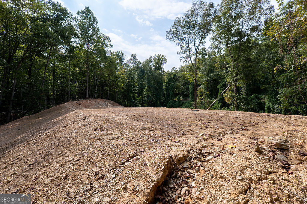 3280 Old Burnt Mountain Road # 3 Unit: TRACT #3