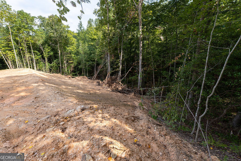 3280 Old Burnt Mountain Road # 3 Unit: TRACT #3