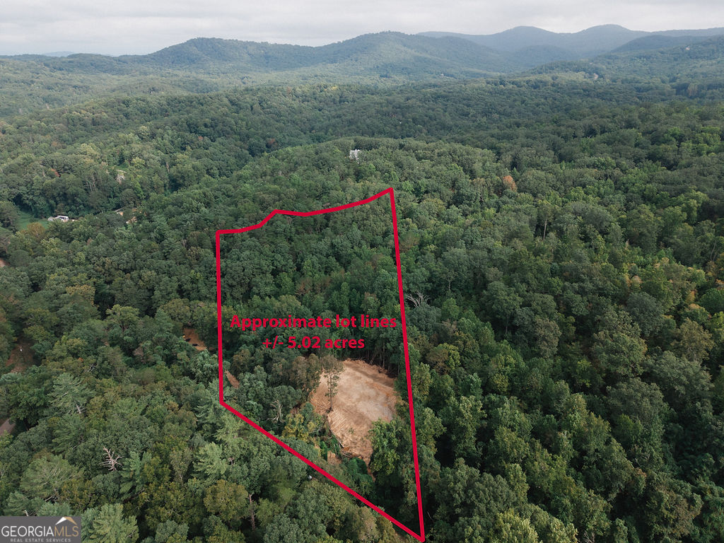 3280 Old Burnt Mountain Road # 3 Unit: TRACT #3