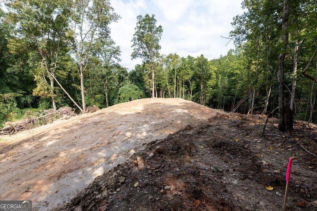 3280 Old Burnt Mountain Road # 3 Unit: TRACT #3