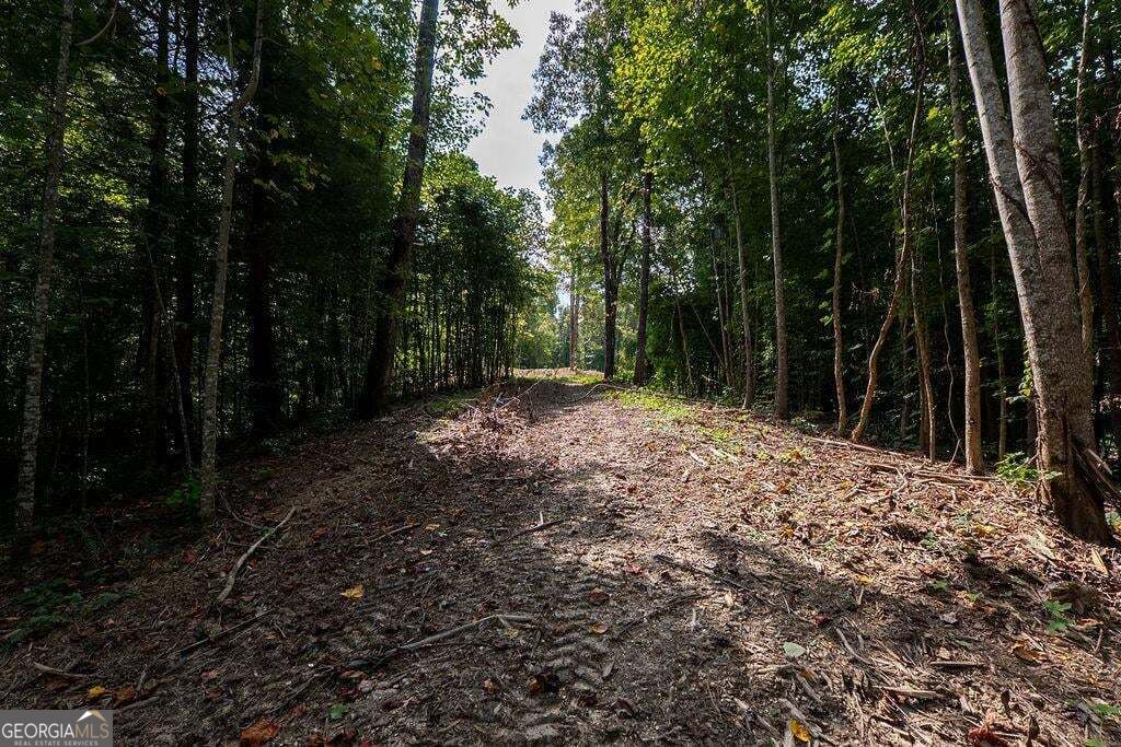 3280 Old Burnt Mountain Road # 3 Unit: TRACT #3