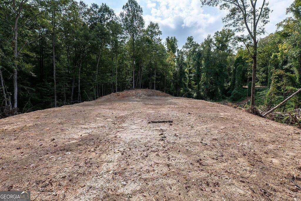 3280 Old Burnt Mountain Road # 3 Unit: TRACT #3