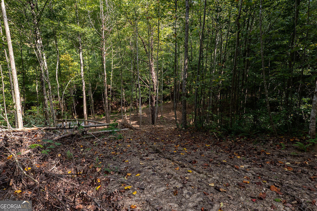 3280 Old Burnt Mountain Road # 3 Unit: TRACT #3