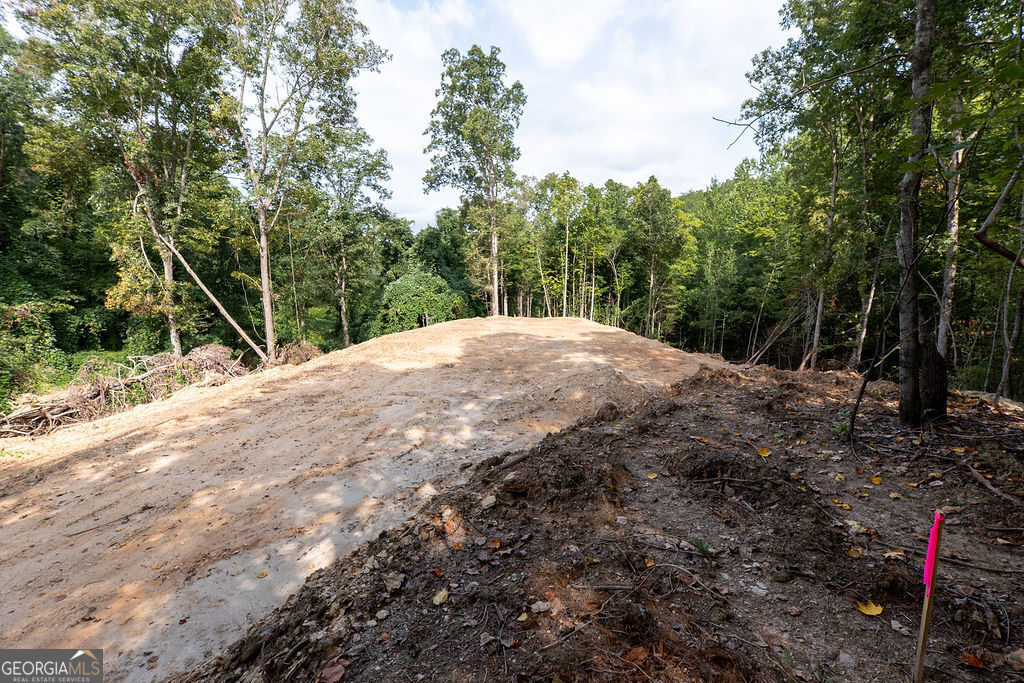 3280 Old Burnt Mountain Road # 3 Unit: TRACT #3