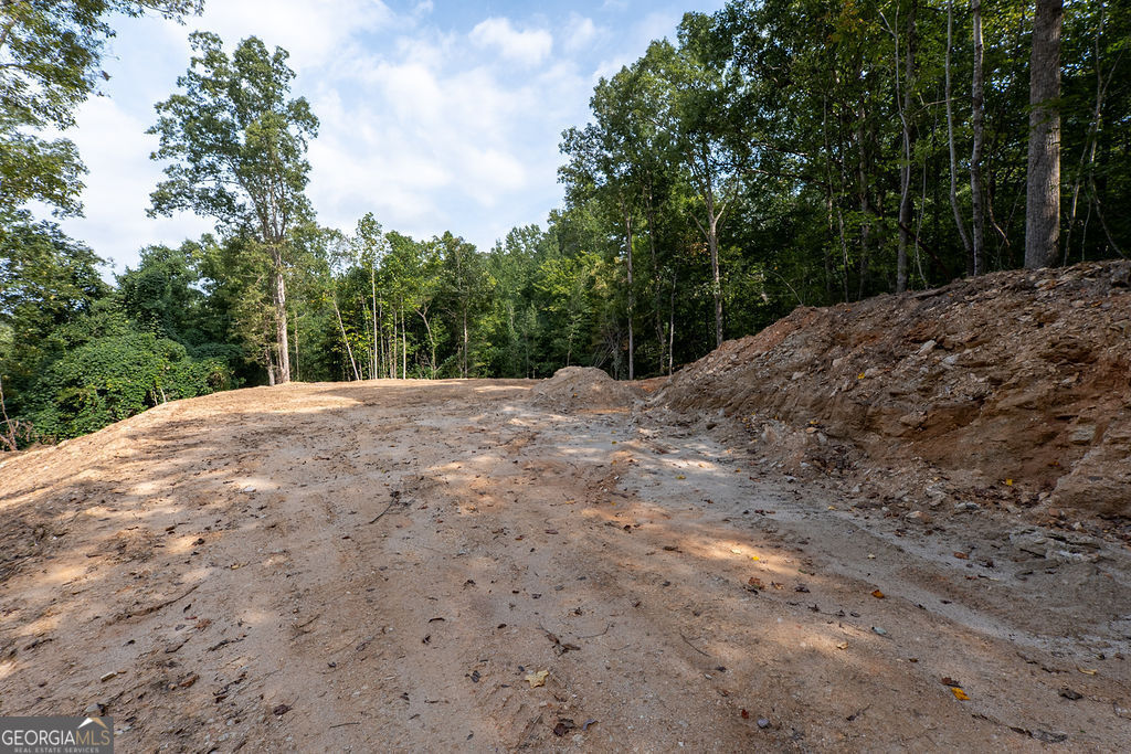 3280 Old Burnt Mountain Road # 3 Unit: TRACT #3