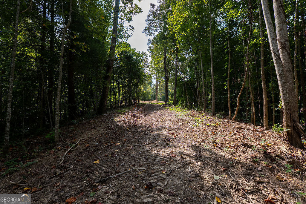 3280 Old Burnt Mountain Road # 3 Unit: TRACT #3