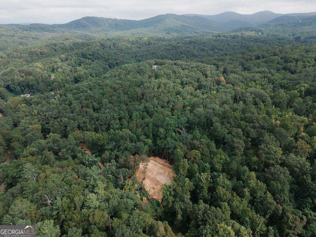 3280 Old Burnt Mountain Road # 3 Unit: TRACT #3