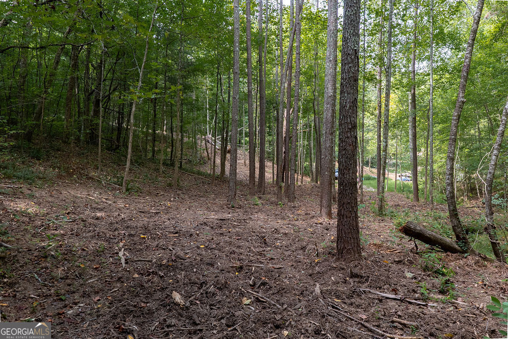 3280 Old Burnt Mountain Road # 3 Unit: TRACT #3