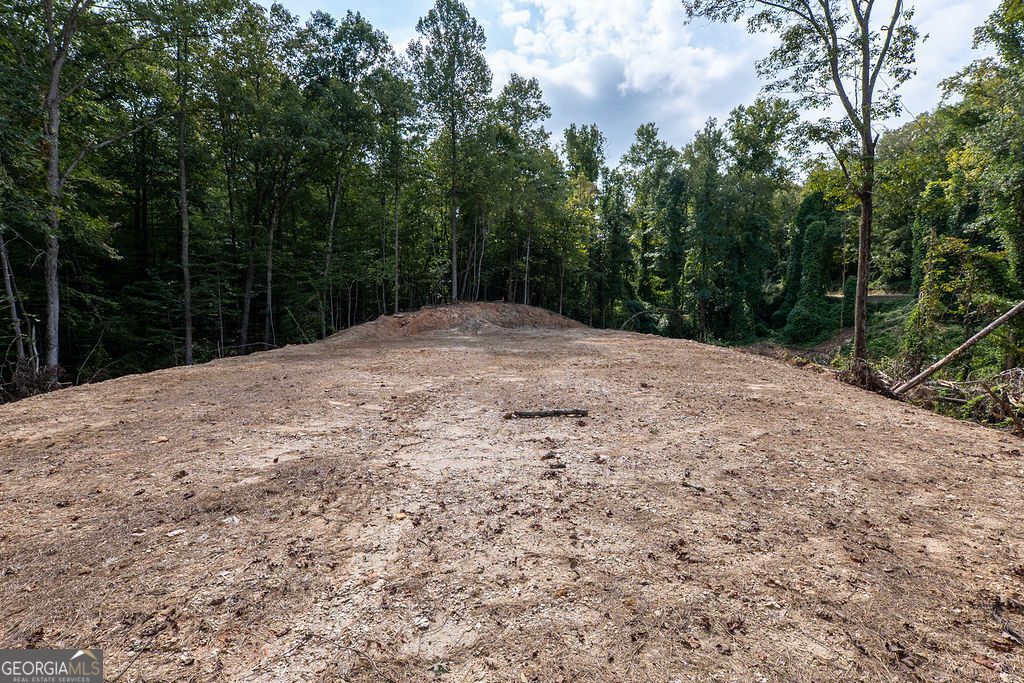 3280 Old Burnt Mountain Road # 3 Unit: TRACT #3