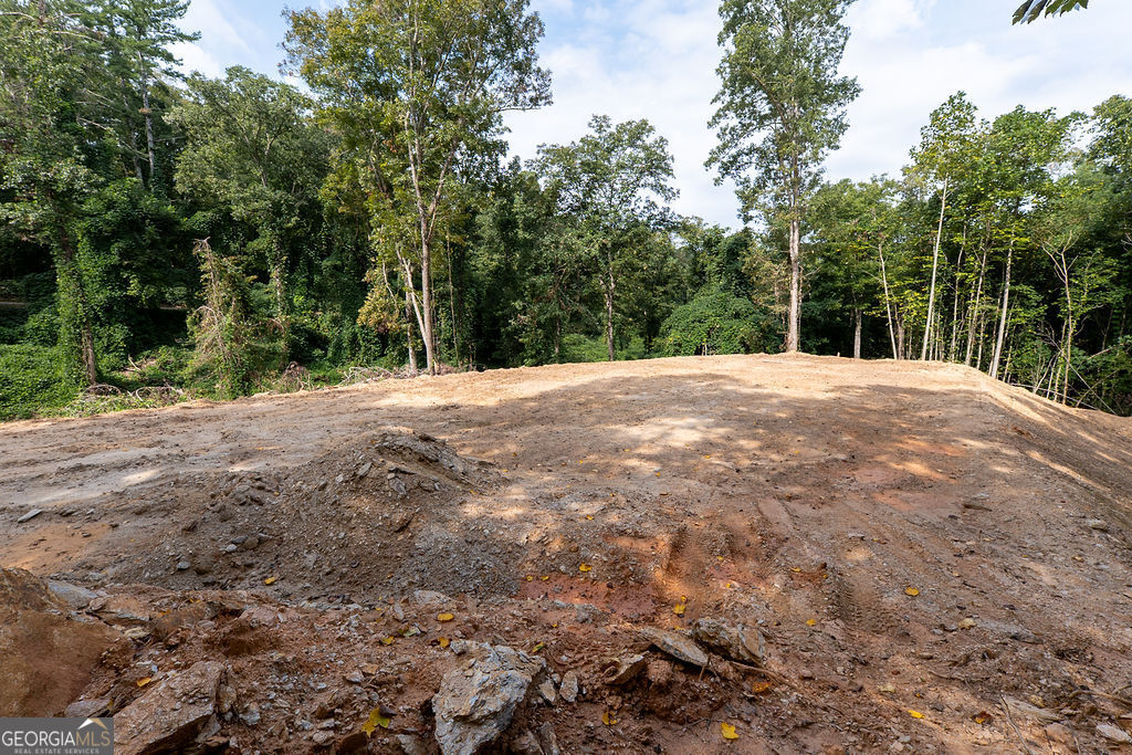 3280 Old Burnt Mountain Road # 3 Unit: TRACT #3