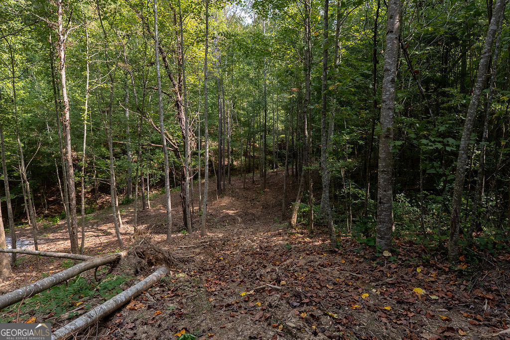 3280 Old Burnt Mountain Road # 3 Unit: TRACT #3