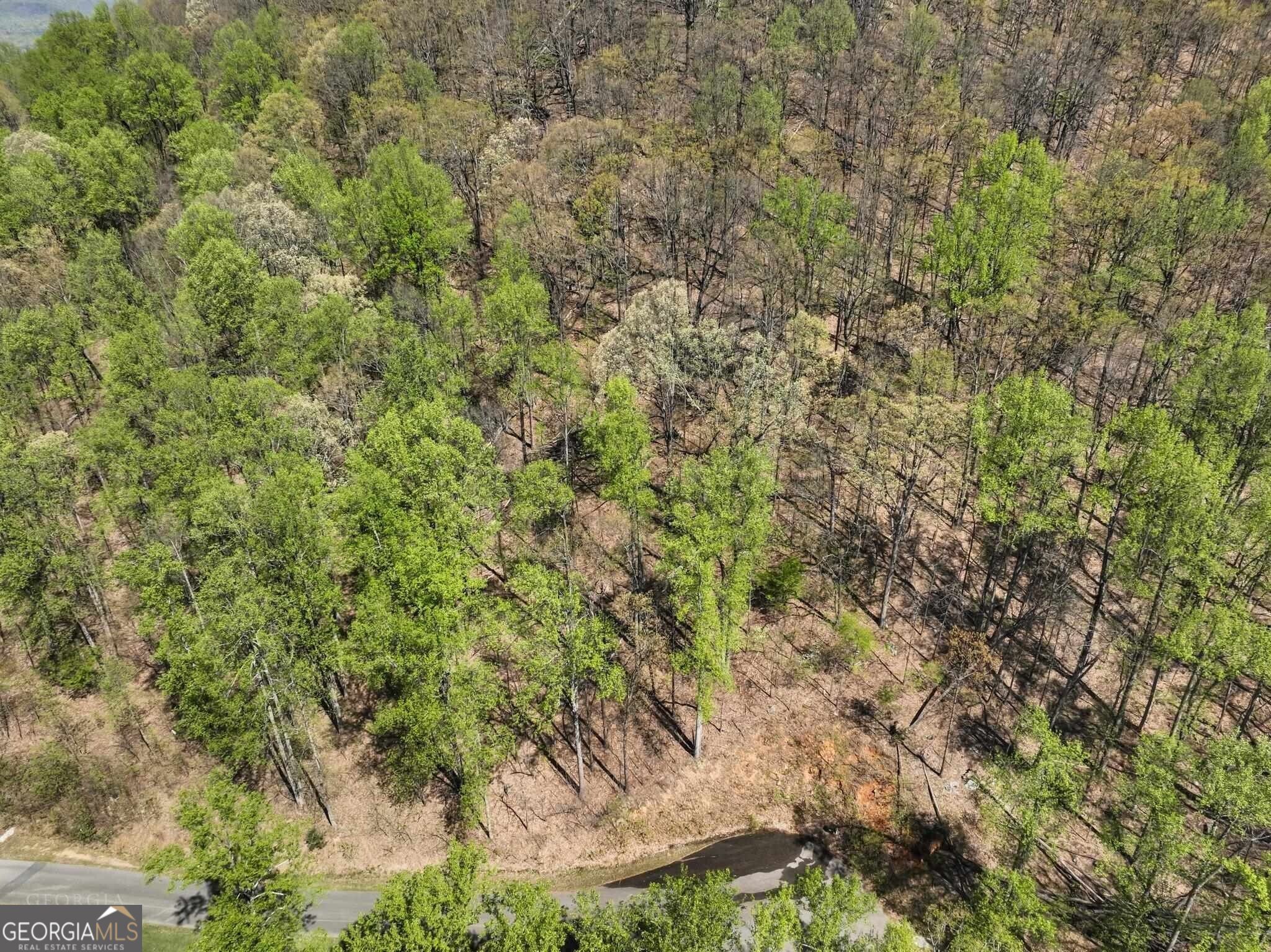 0 Stone Cliff Trace