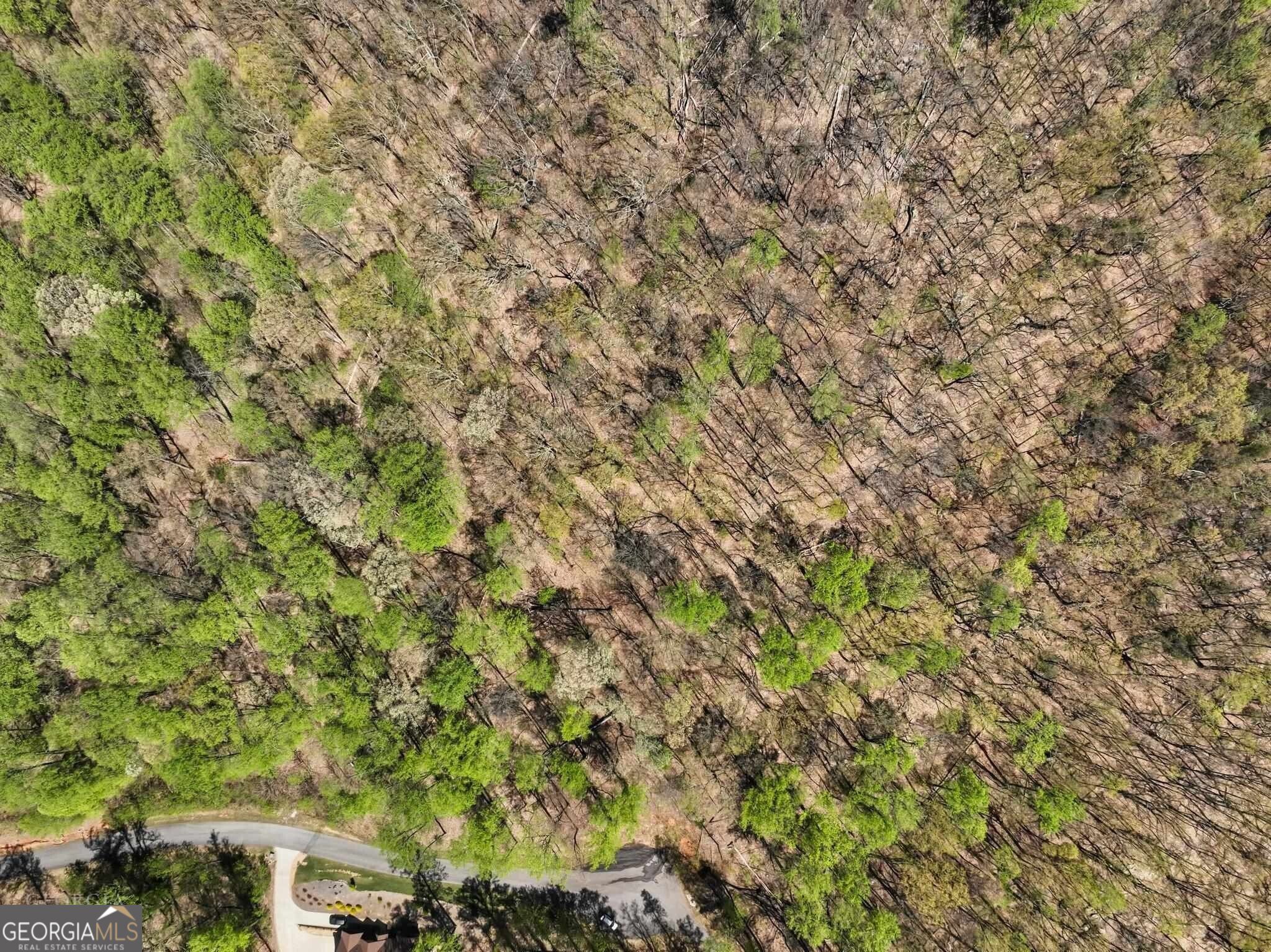 0 Stone Cliff Trace